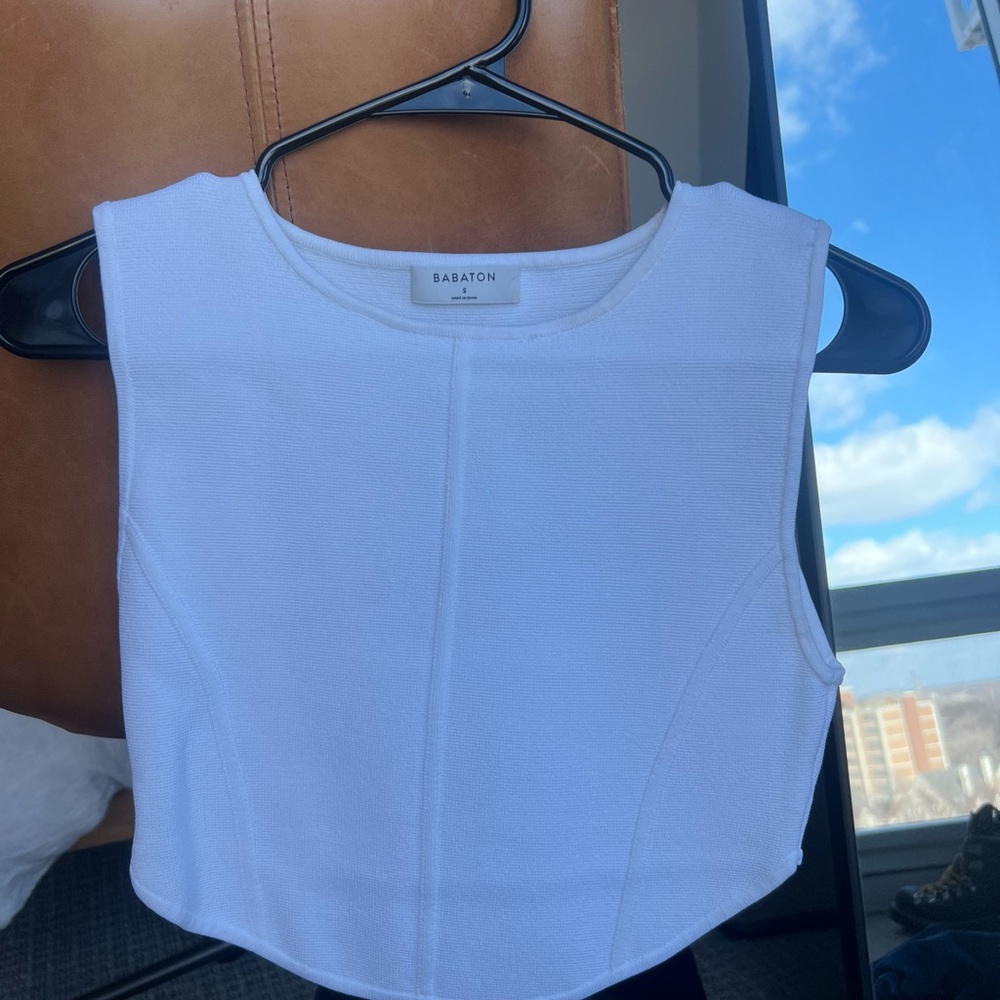 Babaton Aritzia Corset Crop tank